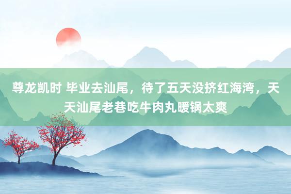 尊龙凯时 毕业去汕尾，待了五天没挤红海湾，天天汕尾老巷吃牛肉丸暖锅太爽