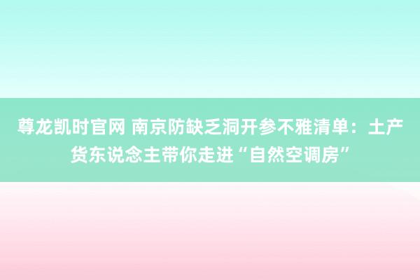 尊龙凯时官网 南京防缺乏洞开参不雅清单：土产货东说念主带你走进“自然空调房”