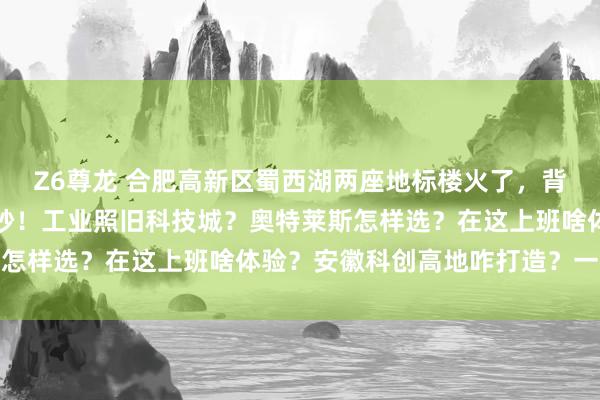 Z6尊龙 合肥高新区蜀西湖两座地标楼火了，背后藏着城市转型好意思妙！工业照旧科技城？奥特莱斯怎样选？在这上班啥体验？安徽科创高地咋打造？一文说