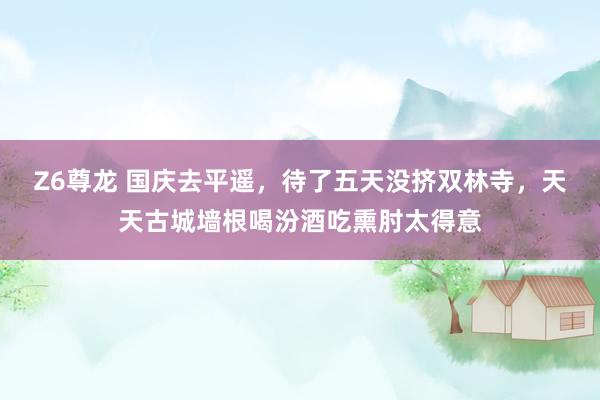 Z6尊龙 国庆去平遥，待了五天没挤双林寺，天天古城墙根喝汾酒吃熏肘太得意