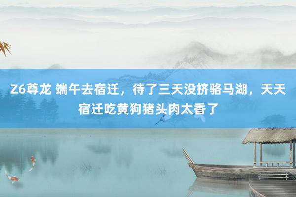 Z6尊龙 端午去宿迁，待了三天没挤骆马湖，天天宿迁吃黄狗猪头肉太香了