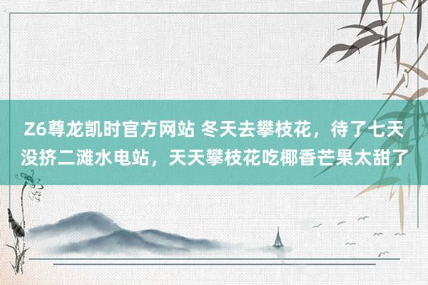 Z6尊龙凯时官方网站 冬天去攀枝花，待了七天没挤二滩水电站，天天攀枝花吃椰香芒果太甜了