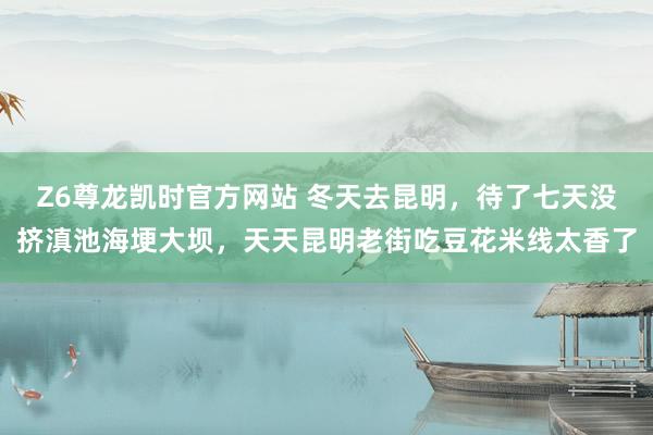 Z6尊龙凯时官方网站 冬天去昆明，待了七天没挤滇池海埂大坝，天天昆明老街吃豆花米线太香了