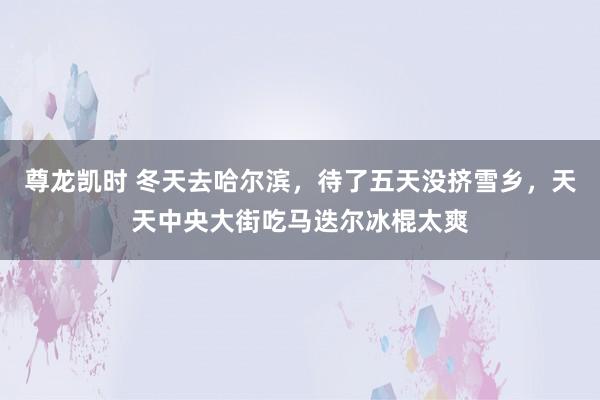 尊龙凯时 冬天去哈尔滨，待了五天没挤雪乡，天天中央大街吃马迭尔冰棍太爽