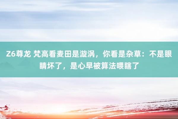 Z6尊龙 梵高看麦田是漩涡，你看是杂草：不是眼睛坏了，是心早被算法喂瞎了