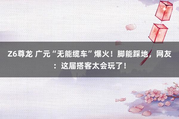 Z6尊龙 广元“无能缆车”爆火！脚能踩地，网友：这届搭客太会玩了！