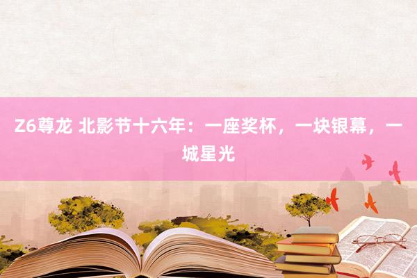 Z6尊龙 北影节十六年：一座奖杯，一块银幕，一城星光