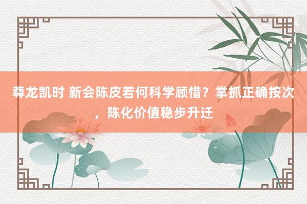 尊龙凯时 新会陈皮若何科学顾惜？掌抓正确按次，陈化价值稳步升迁