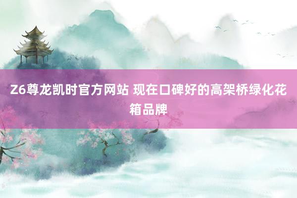 Z6尊龙凯时官方网站 现在口碑好的高架桥绿化花箱品牌