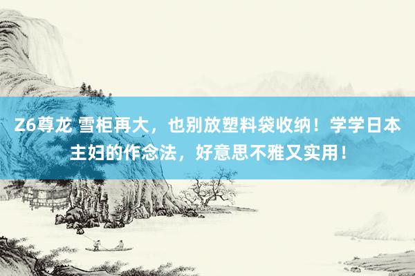 Z6尊龙 雪柜再大，也别放塑料袋收纳！学学日本主妇的作念法，好意思不雅又实用！