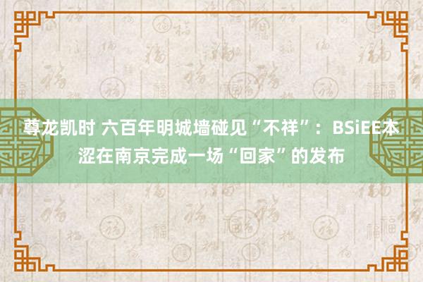 尊龙凯时 六百年明城墙碰见“不祥”：BSiEE本涩在南京完成一场“回家”的发布