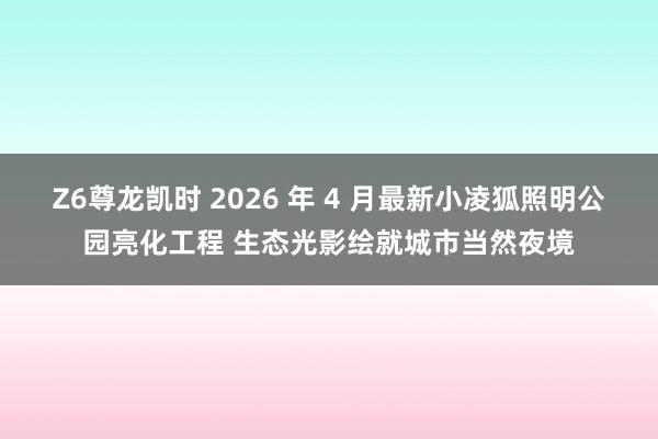 Z6尊龙凯时 2026 年 4 月最新小凌狐照明公园亮化工程 生态光影绘就城市当然夜境