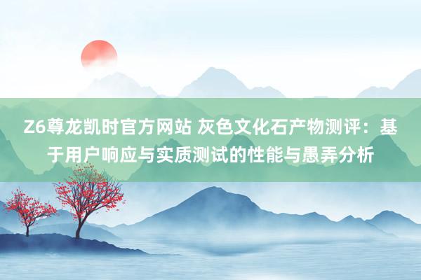 Z6尊龙凯时官方网站 灰色文化石产物测评：基于用户响应与实质测试的性能与愚弄分析