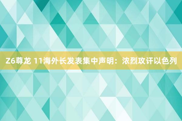 Z6尊龙 11海外长发表集中声明：浓烈攻讦以色列