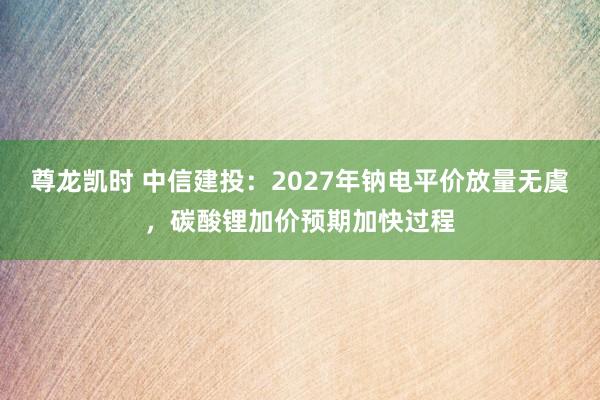 尊龙凯时 中信建投：2027年钠电平价放量无虞，碳酸锂加价预期加快过程