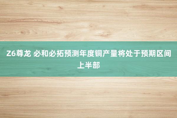 Z6尊龙 必和必拓预测年度铜产量将处于预期区间上半部