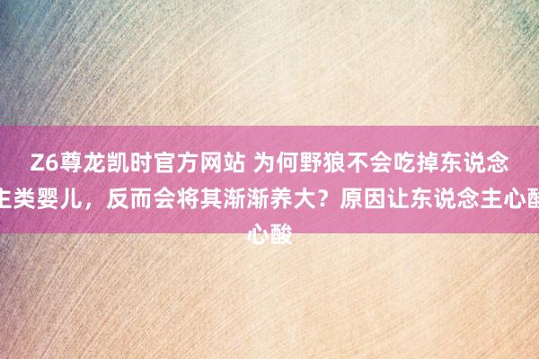 Z6尊龙凯时官方网站 为何野狼不会吃掉东说念主类婴儿，反而会将其渐渐养大？原因让东说念主心酸
