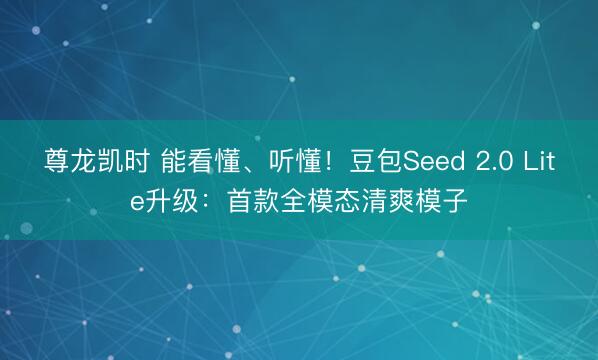 尊龙凯时 能看懂、听懂！豆包Seed 2.0 Lite升级：首款全模态清爽模子