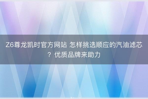 Z6尊龙凯时官方网站 怎样挑选顺应的汽油滤芯？优质品牌来助力