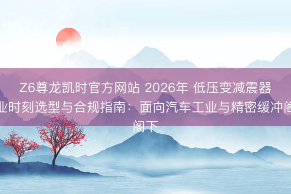 Z6尊龙凯时官方网站 2026年 低压变减震器行业时刻选型与合规指南：面向汽车工业与精密缓冲阁下
